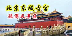 尤物黄色视频迷药中国北京-东城古宫旅游风景区